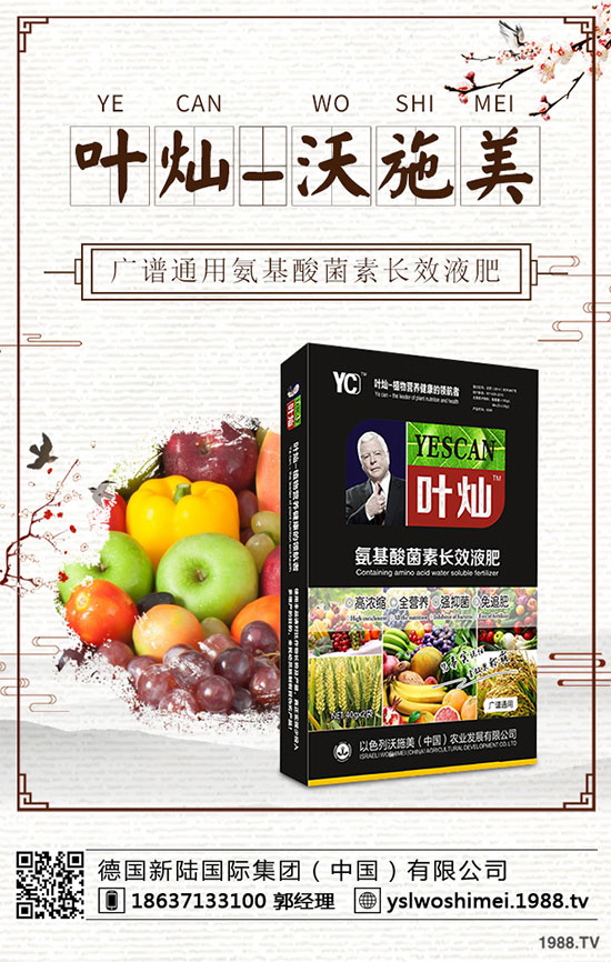 ��С����ʲô���F(xi��n)�S������������С���S����������δ�ʩ��