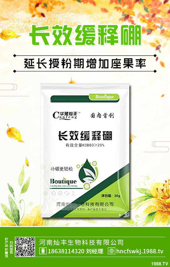 ���X�ݺ��~�X����ʲô��ͬ�����X�ݺ��~�X�ݵą^(q��)�e��Щ��