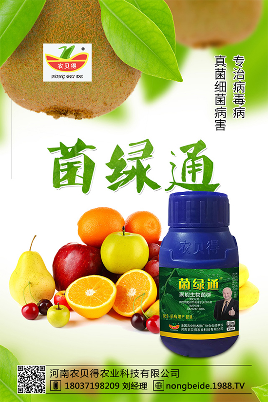 С��������_�x�N����֪������x�N�Ŀ��@����