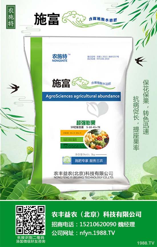 香蔥該如何栽培？秋茬香蔥高產(chǎn)技術(shù)要點(diǎn)