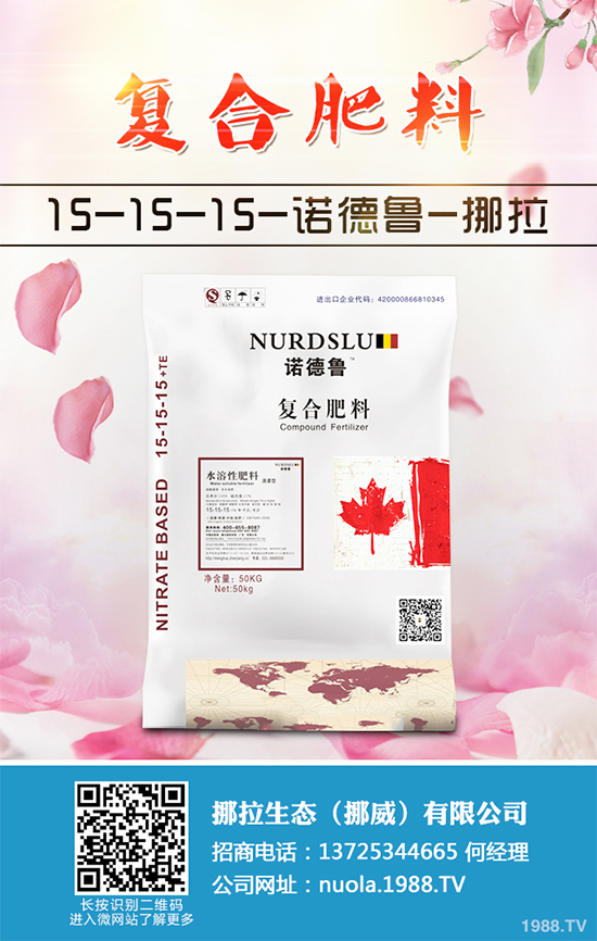 香蔥該如何栽培？秋茬香蔥高產(chǎn)技術(shù)要點(diǎn)