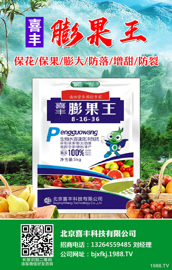 �۲˰l(f��)ѿ����ô�k���۲˴�ѿ��������Щ��