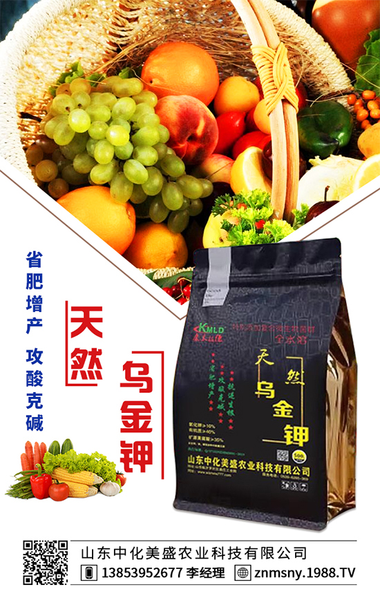 �۲˞�ʲô��(hu��)���F(xi��n)�������۲˿��ĵķ��δ�ʩ��