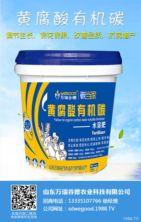 С�ײ�ʲô�r��Nֲ��С�ײ˸߮a(ch��n)�Nֲ���g(sh��)