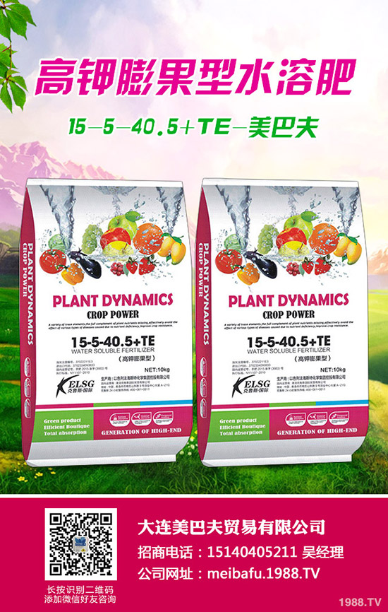     2019��10����Ѯ���������Ј������߄��A(y��)�y