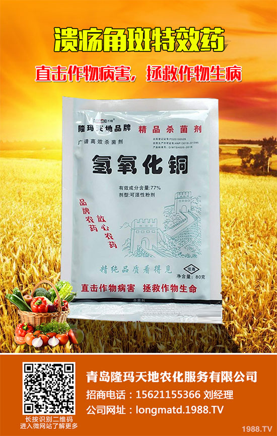 �ݲ�ѿ�ߗU��