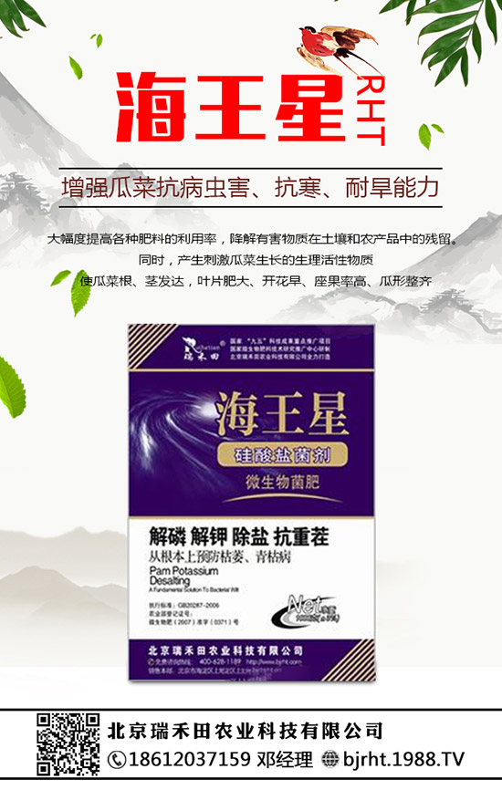 ���N�����B(y��ng)�������N���B(y��ng)ֳ������ע�����(xi��ng)��