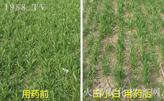 ��(ji��)��(ji��)����η�������ʲôˎ����ô��ˎЧ������