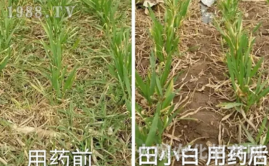 ��(ji��)��(ji��)����η�������ʲôˎ����ô��ˎЧ������