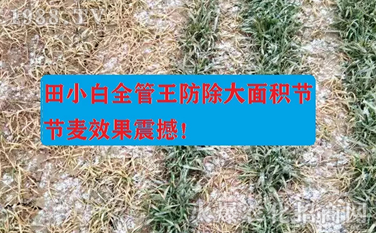 ��(ji��)��(ji��)����η�������ʲôˎ����ô��ˎЧ������