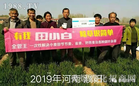 39��(ji��)��(ji��)����η�������ʲôˎ����ô��ˎЧ������