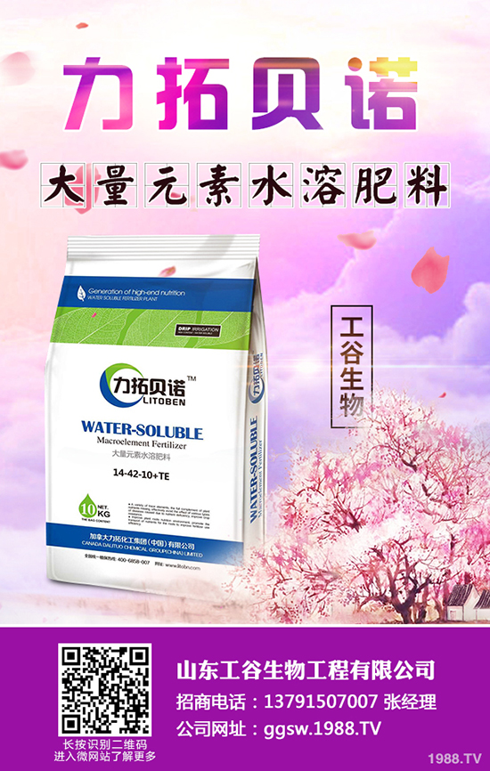     �������鼴���������������؃r�������A(y��)�y2019-10-22