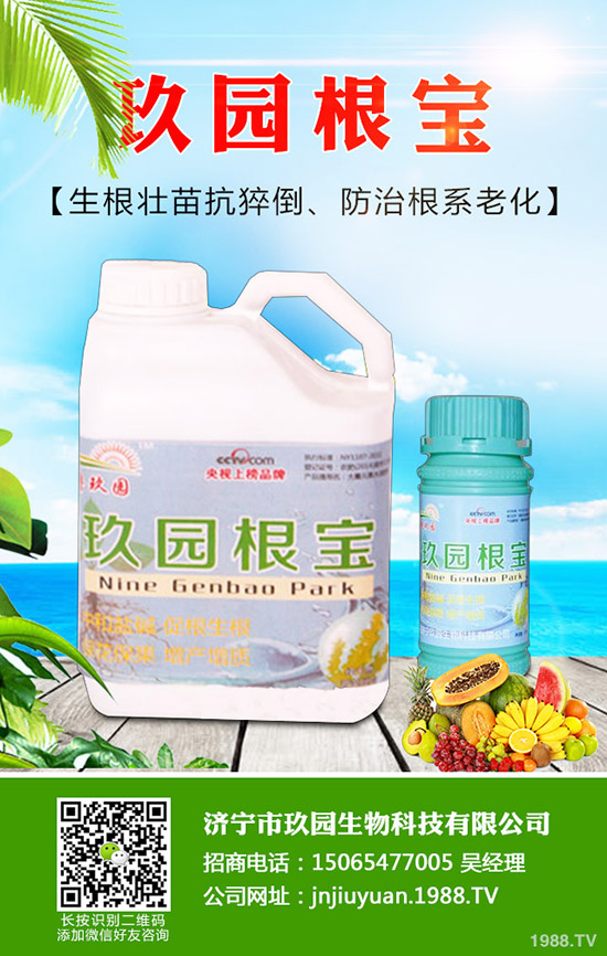 �������x��η����������x��Σ�����l(f��)��Ҏ(gu��)����