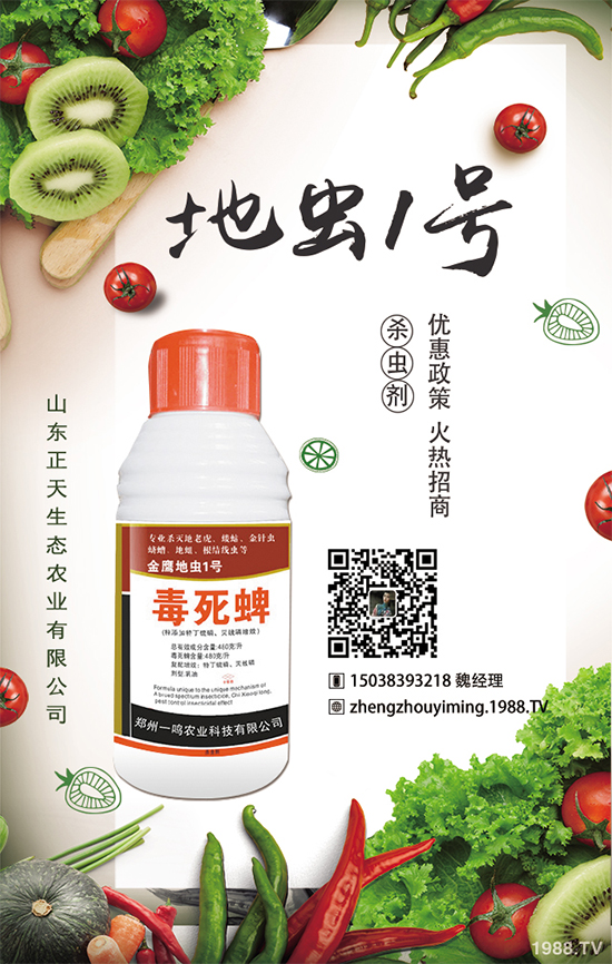 �����}����ηNֲ�������}����Ҫע��ʲô��