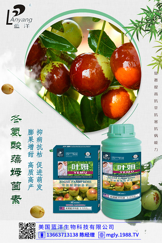 �ײ�ܛ��������������������ЩΣ�����ײ�ܛ�����İl(f��)���c����