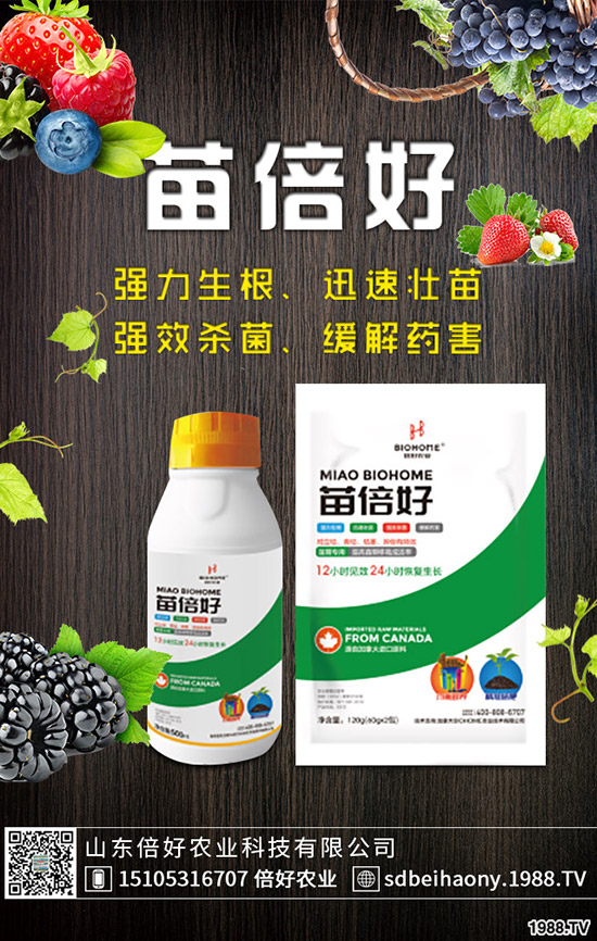 С�����N�󲻳����������ԭ����������С��������?