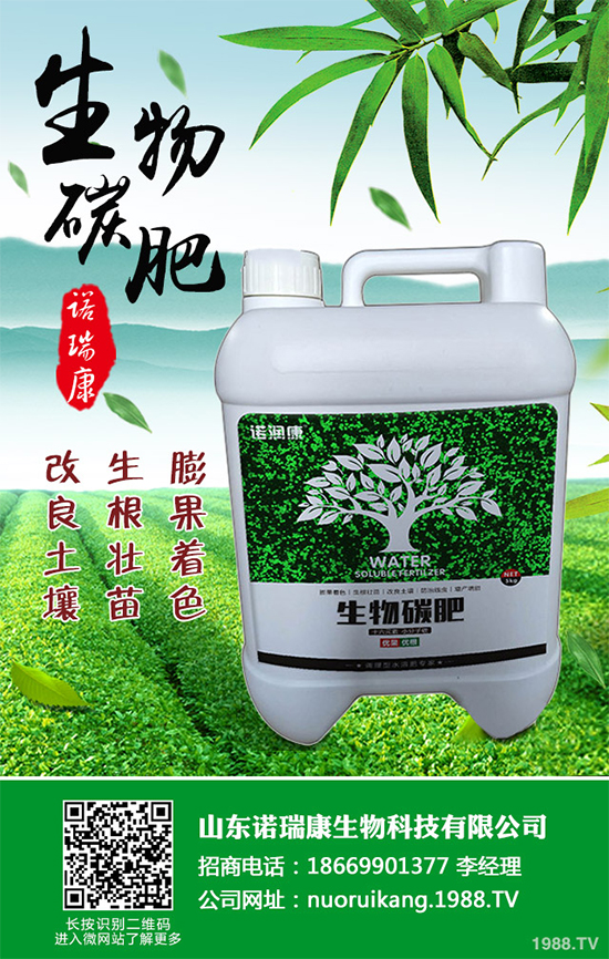 ����������ԓ��ô�N�������@���c���p�ɷN����������