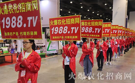 ǧ�̅R������Ʒ�Ƽ�|2019�����r(n��ng)����(hu��)ʢ���_Ļ��