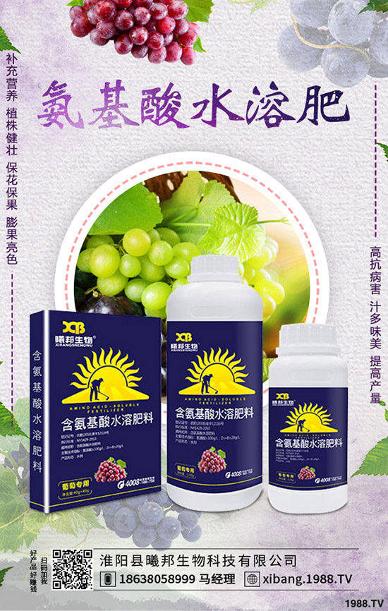 �＾�}����ô�Nֲ���＾�}���Nֲ���g(sh��)������Ҫ�c(di��n)��