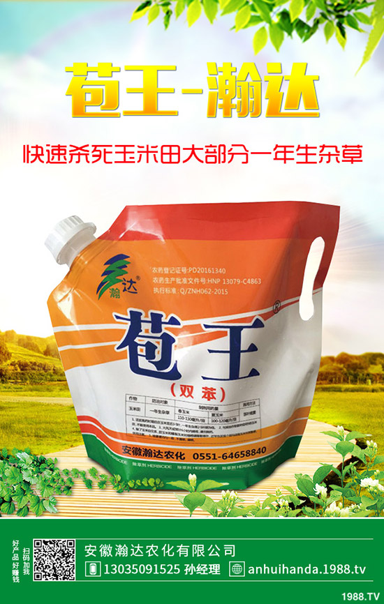 ʯ骻���ô�Nֲ��ʯ骻����B(y��ng)ֳ������