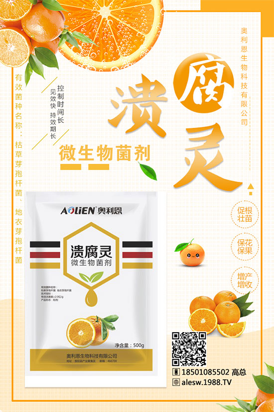 ����ʲô�r��N������Nֲ���g(sh��)���Nֲ�l��