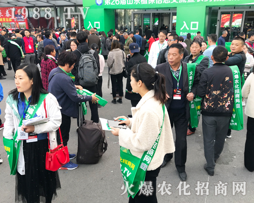     2019ɽ�|����ֲ���p�������r(n��ng)�����̾W(w��ng)��ٶ��w��