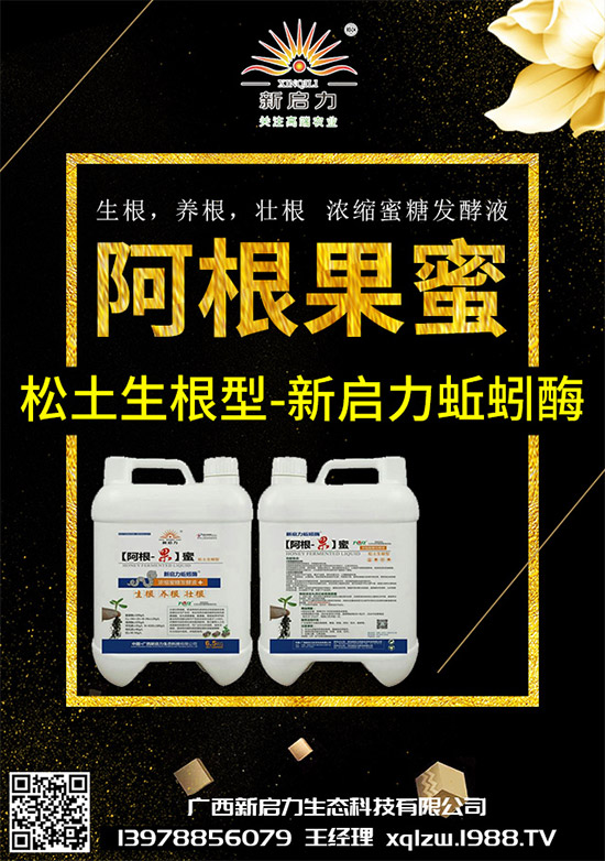 ���{(l��n)��Ä������ЩΣ��������{(l��n)�����İl(f��)���c���μ���