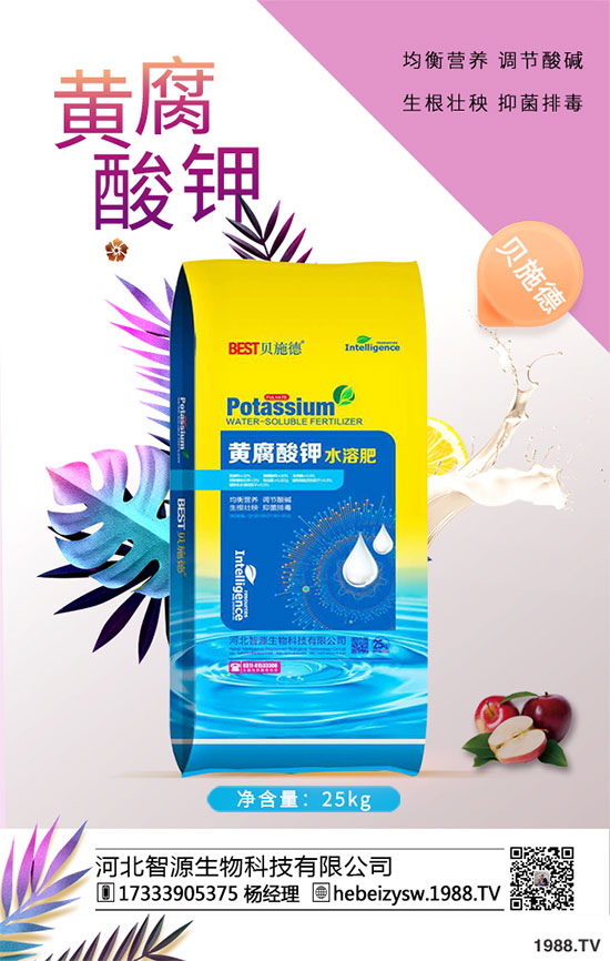 ����ը���ӷNֲ�����¹����༼�g(sh��)��