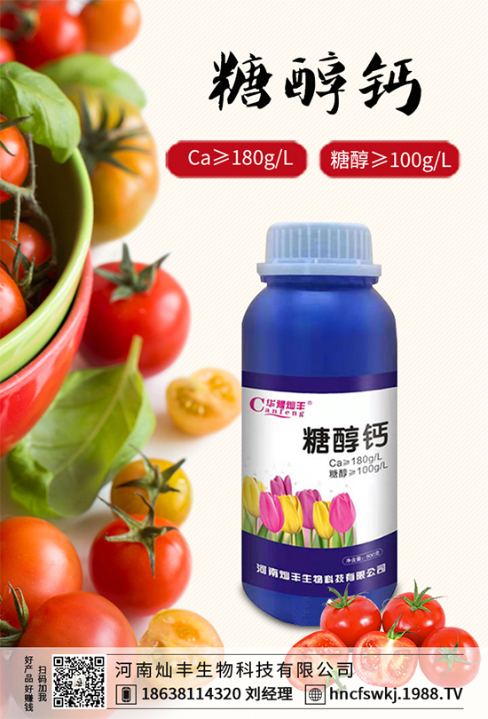 ���{���ݲ����u������ԓ��η��������{���ݲ����δ�ʩ