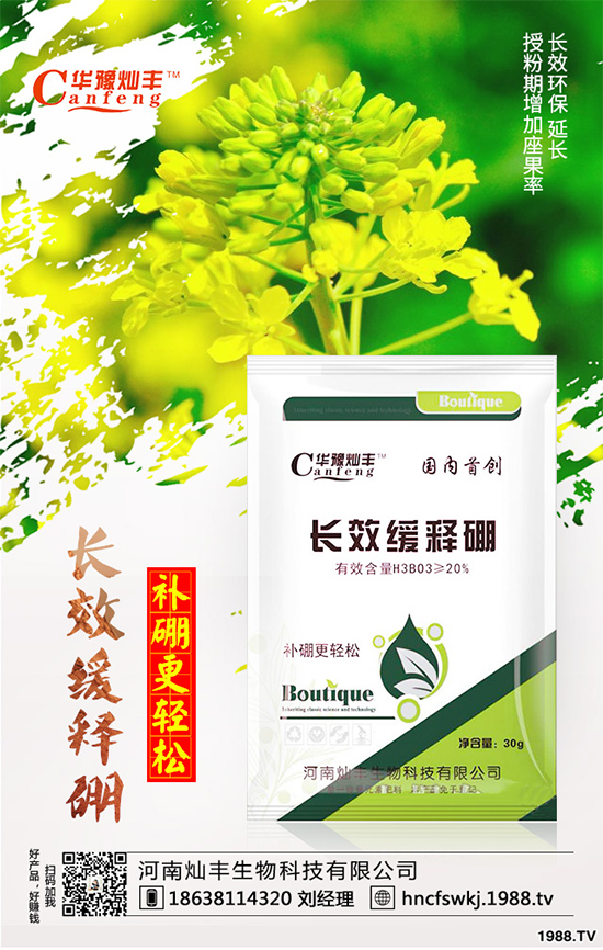 ���{���ݲ����u������ԓ��η��������{���ݲ����δ�ʩ