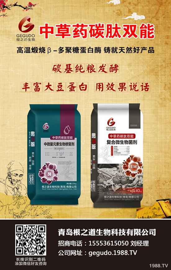     ���ص����ɱ�����2019��11����(n��i)�����Ј������߄��A(y��)�y��