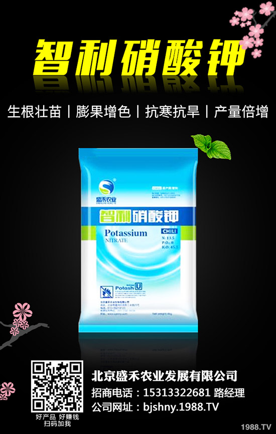 �ڶ�ʲô�r��Nֲ���ڶ��ķNֲҪ�c(di��n)����Щ��