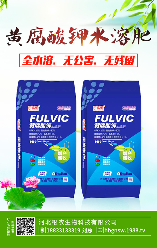 五味子樹該如何種植？五味子規(guī)?；N植技術(shù)