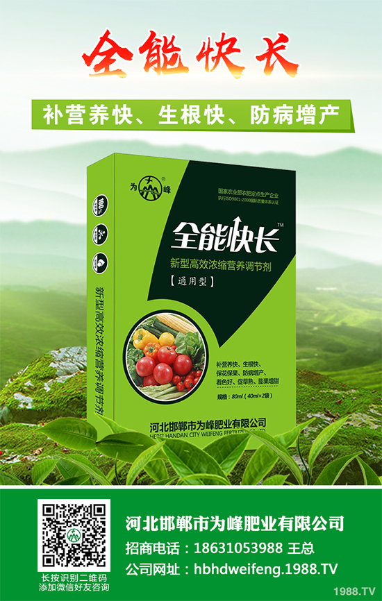 五味子樹該如何種植？五味子規(guī)模化種植技術(shù)