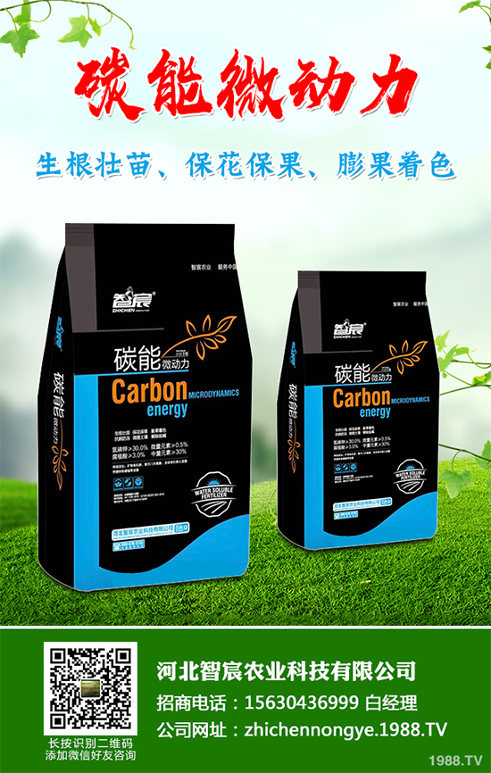 ���������߲˷Nֲԓע��ʲô����ӛ�e�M(j��n)�@�����`�^(q��)