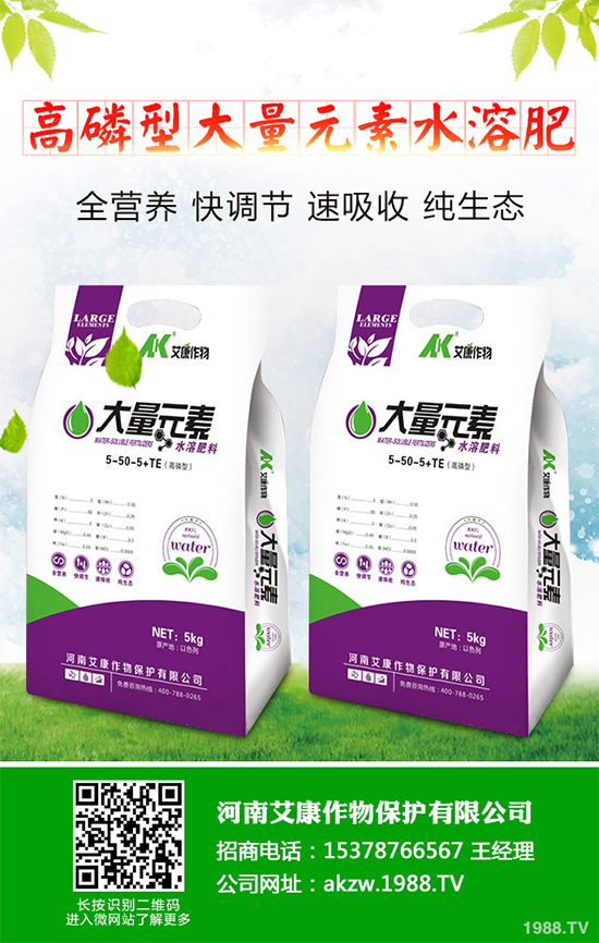 鹽堿地能種植棉花嗎?鹽堿地植棉高產技術