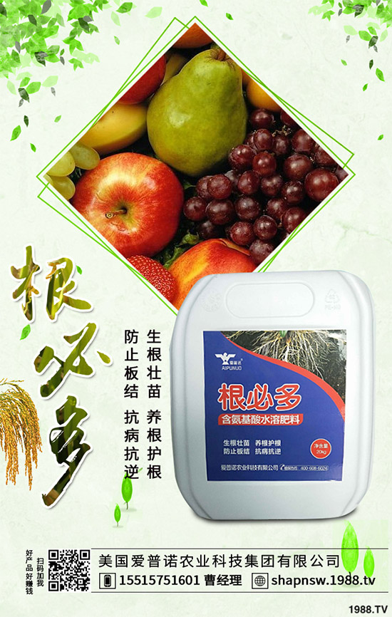 ������ô�������ܸ߮a(ch��n)�����Ӹ߮a(ch��n)�ߴ������ʩ