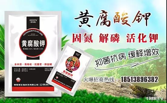 �VԴ�S����⛡�����Ʒ����1����=8���ЙC(j��)�ʣ��½�Դ�^ֱ�l(f��)������