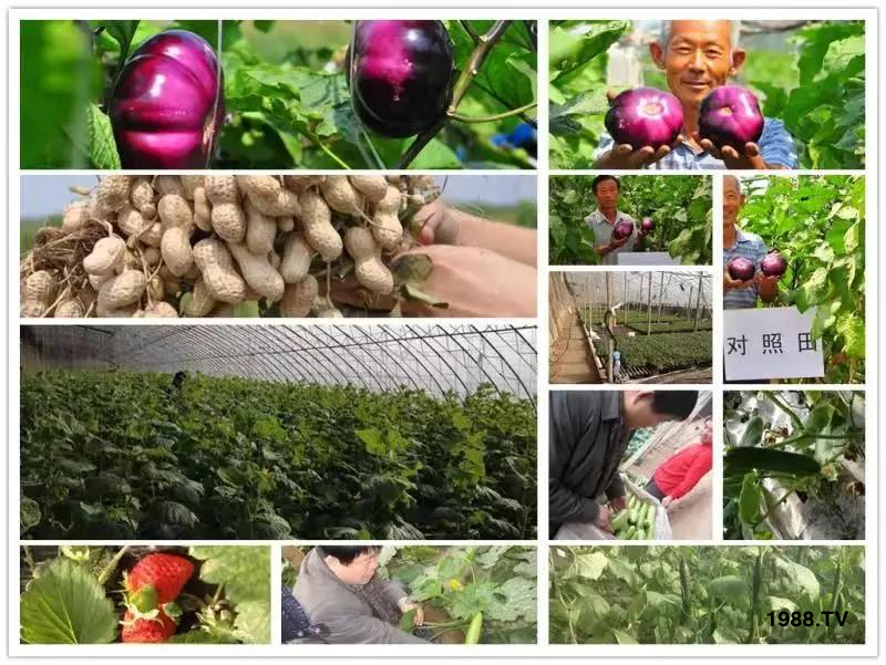 �VԴ�S����⛡�����Ʒ����1����=8���ЙC(j��)�����½�Դ�^ֱ�l(f��)������