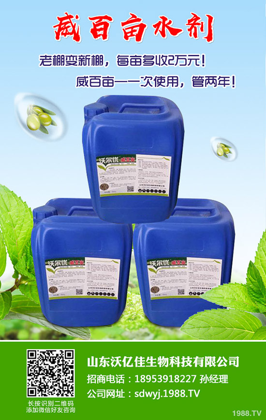 ���ʲô�r��Nֲ�������ô�Nֲ�ܸ߮a(ch��n)��