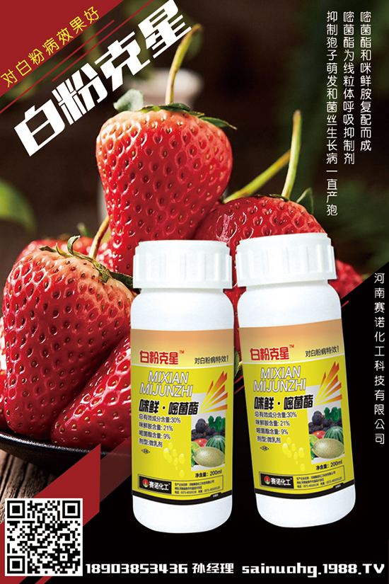 ����ِ�Z�����Ƽ����޹�˾1