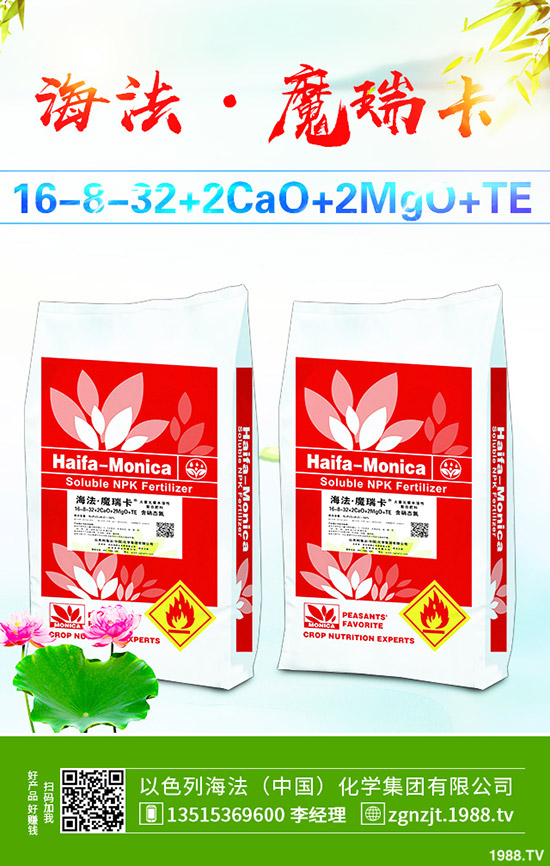     2019��11����Ѯ������@�r�������߄ݾC�Ϸ�����