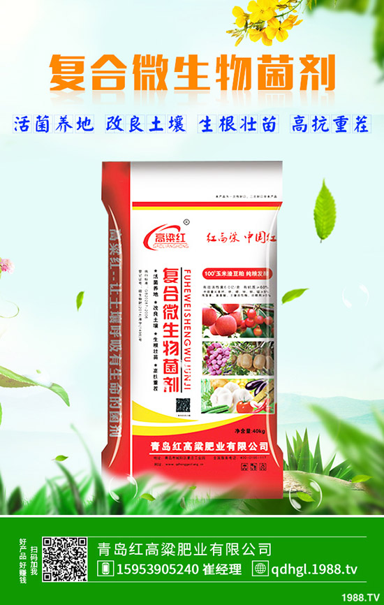     一銨價格低迷！2019年11月18日今日磷酸一銨價格行情走勢分析