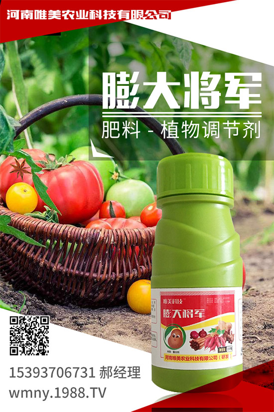 ��������ʲô��̎�����x���ֵ�С������