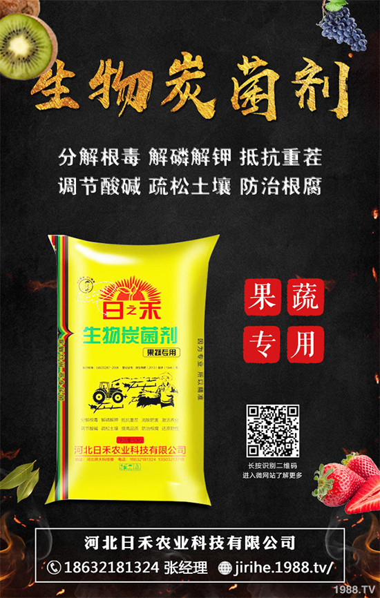 ���[��ֲ�������ˆ������[��ֲ����ֲ���������