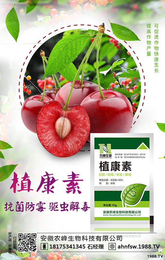 ��(d��ng)�w��ô�Nֲ����(d��ng)�w�NֲЧ�漰���༼�g(sh��)��