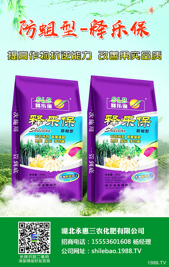     2019��11�µ���������⛷��Ј��r�������߄��A�y��