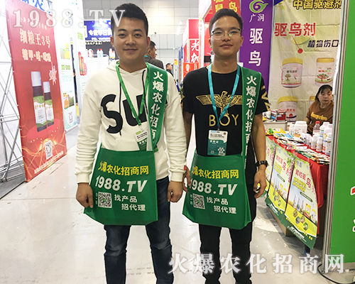     2019ȫ��ֲ�����ו���1988.TV���̟o�ϵK����(sh��)���У�