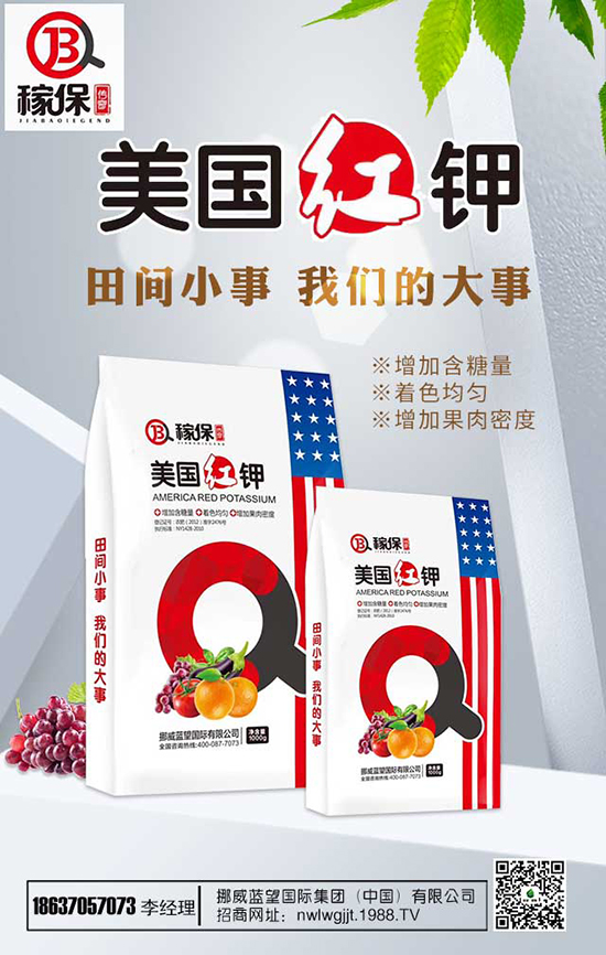 ���㻨�B(y��ng)ֳ��������Щ�����㻨�B(y��ng)ֳע����헣�