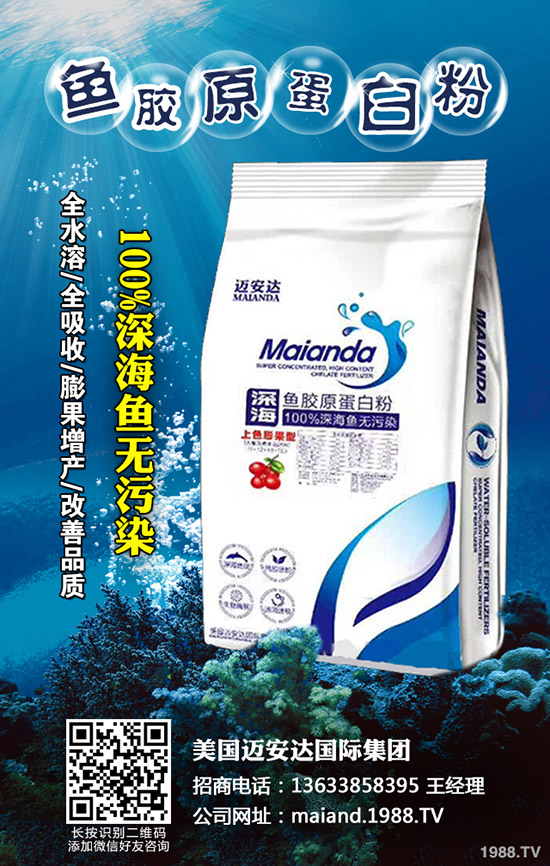     2019��11��25�Շ��a(ch��n)⛷�����p��������⛷������߄ݷ�����